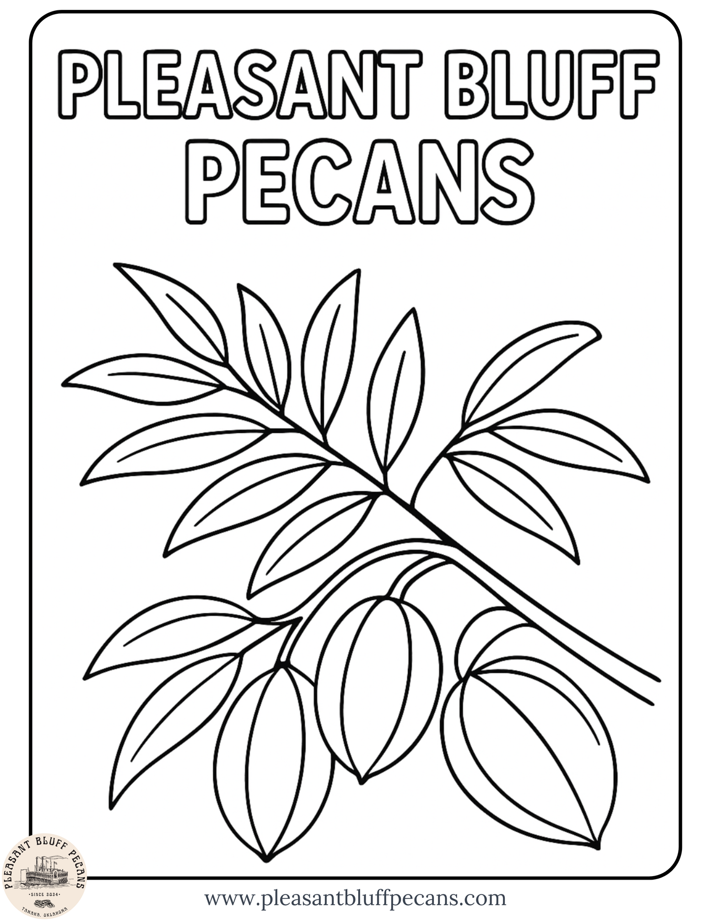Pecan Branch - Coloring Sheet