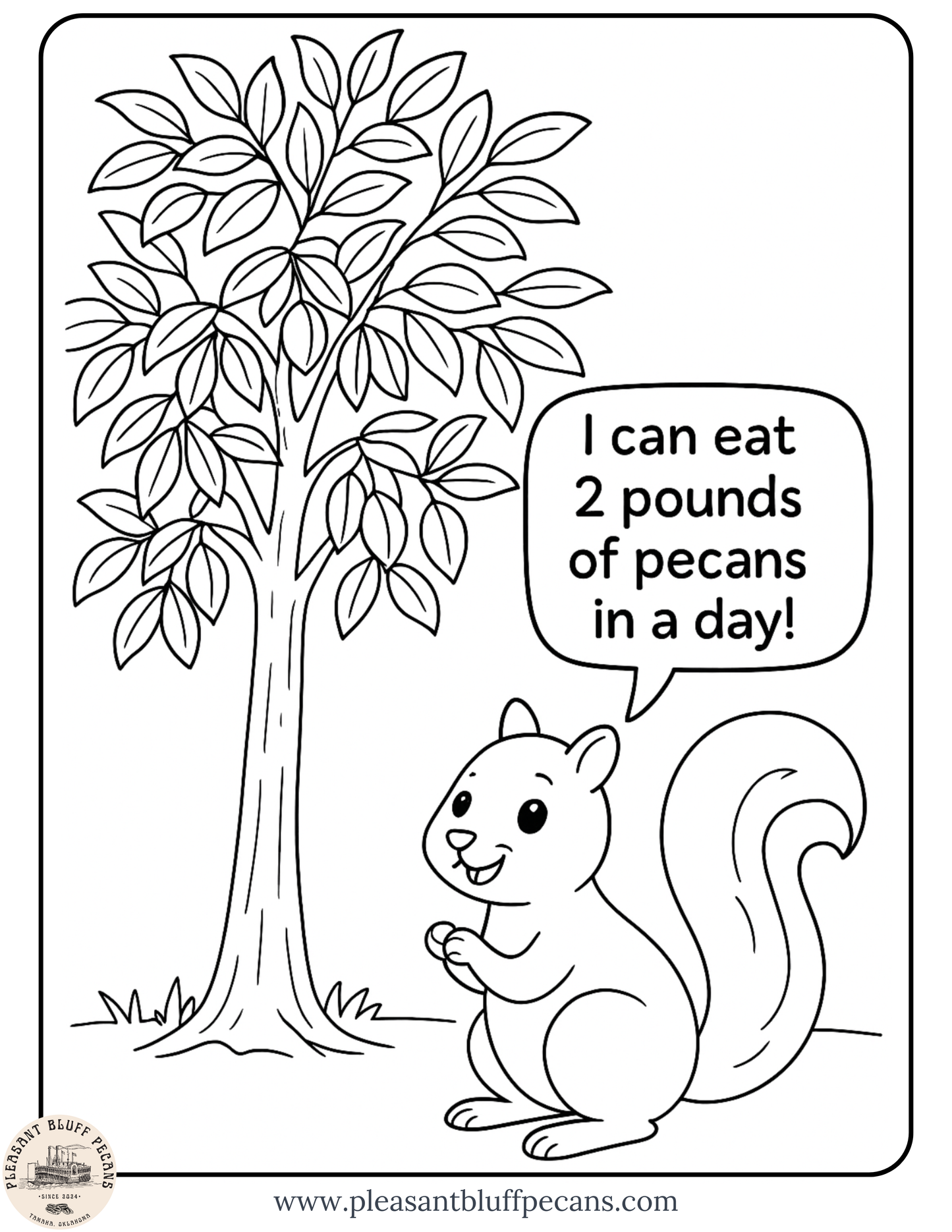 Squirrel and Pecan Tree Fun - Coloring Sheet