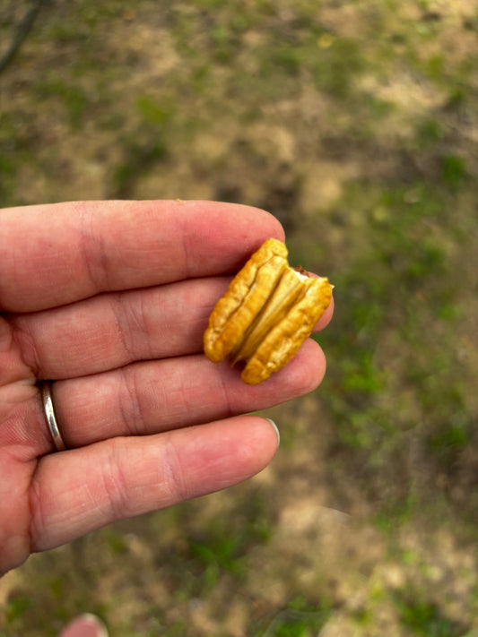 Why Buy Fresh and Local?