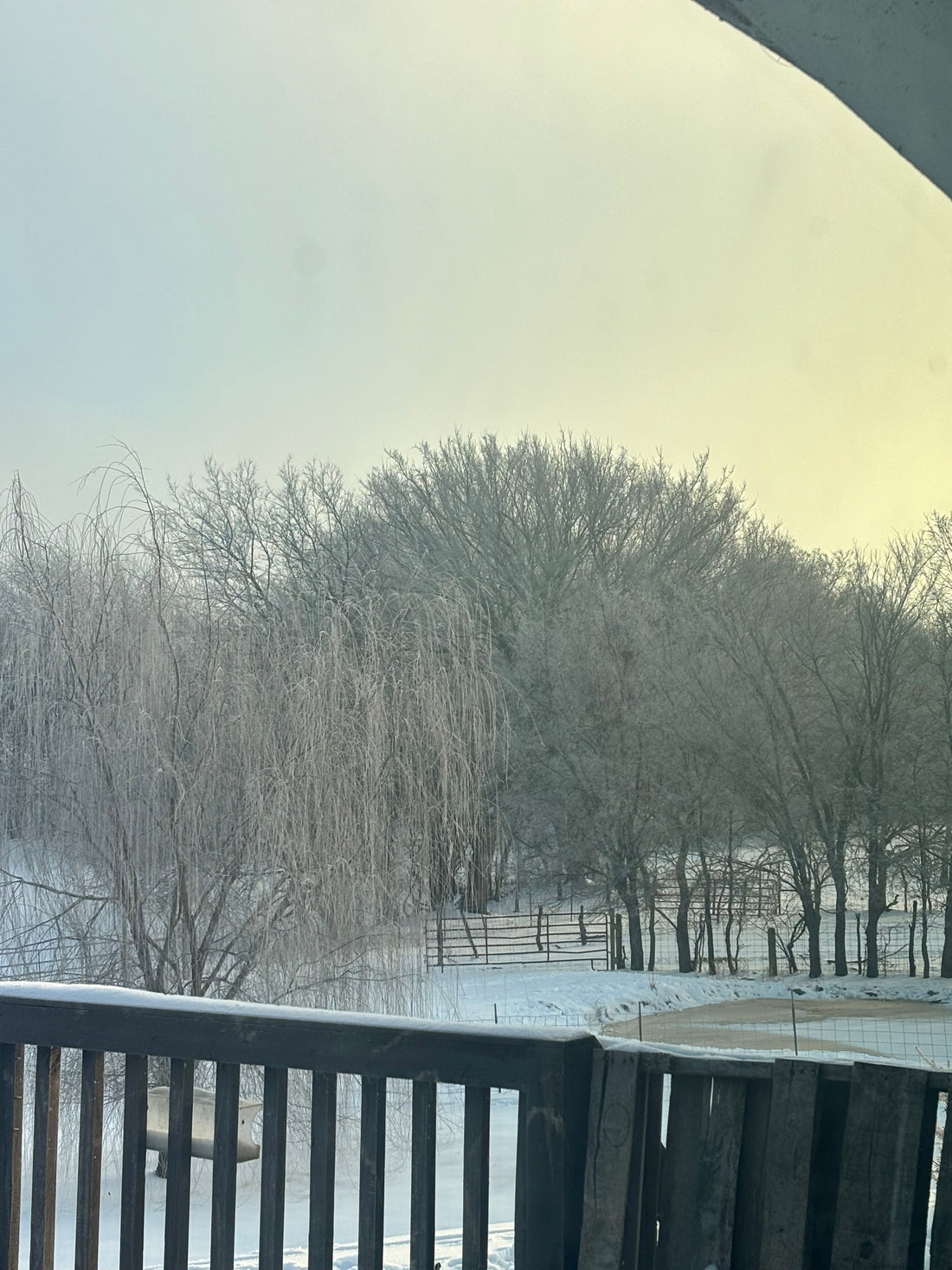 Winter on the Farm