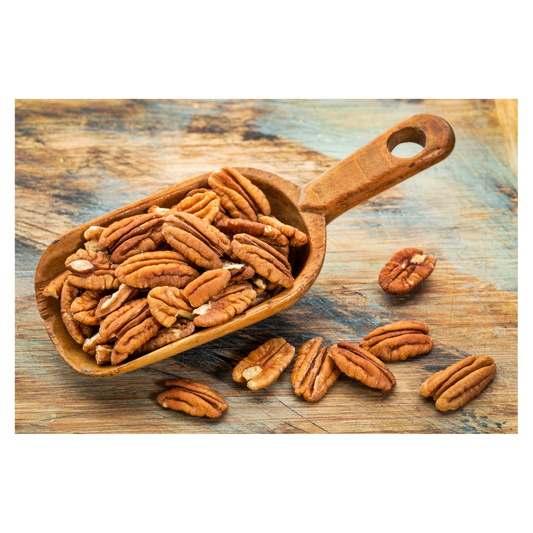 The Ultimate Guide to Growing and Caring for Pecan Trees