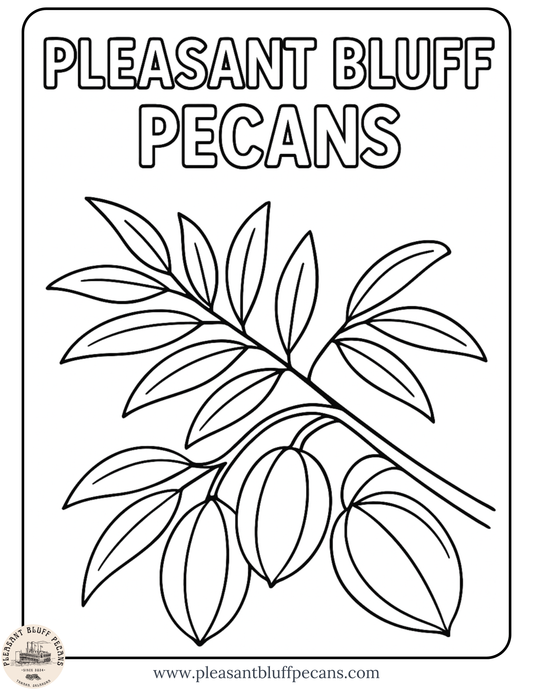 Pecan Branch - Coloring Sheet