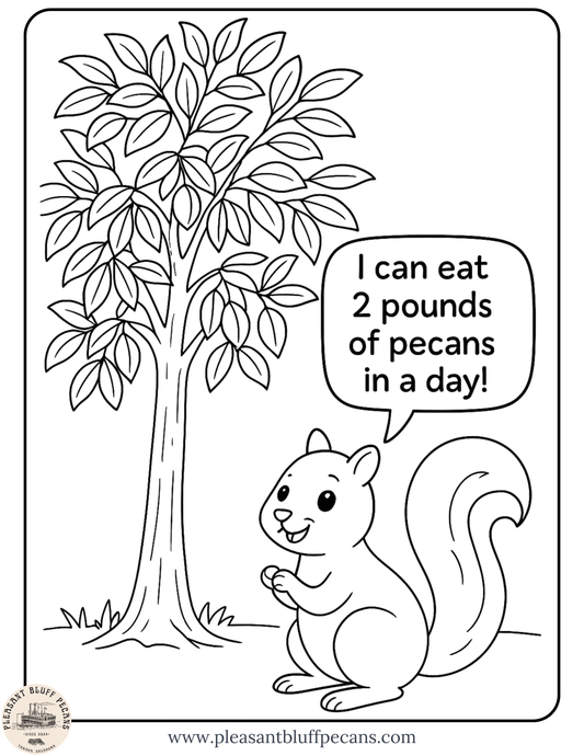 Squirrel and Pecan Tree Fun - Coloring Sheet